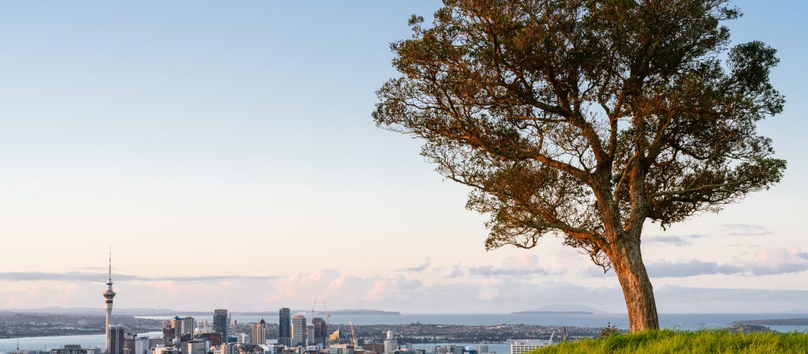 The beautiful view Auckland City Skyline, New Zealand.